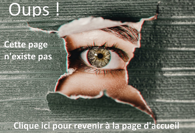 image de la page 404 de la sas 40pourcent.com